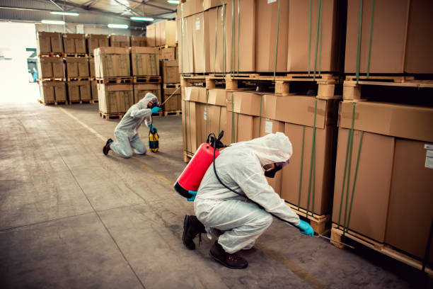 Best Best Pest Control Companies  in Dillon, MT