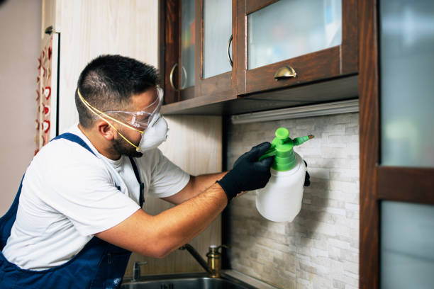 Best Local Pest Control Services  in Dillon, MT