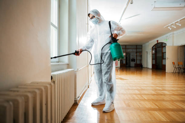 Best Pest Control for Businesses  in Dillon, MT